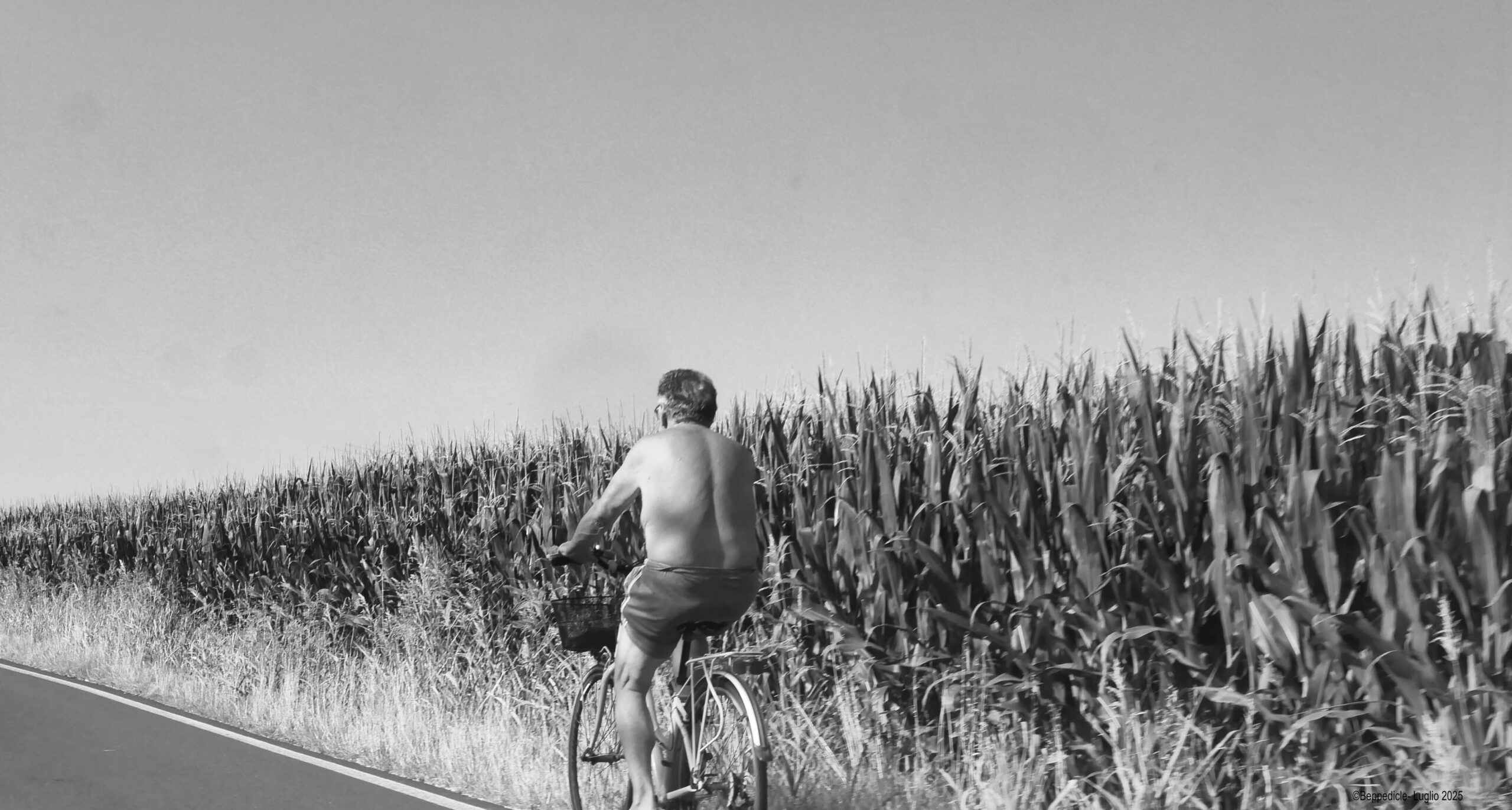 passeggiando in bicicletta.pngxx signore sulla panchina a sola