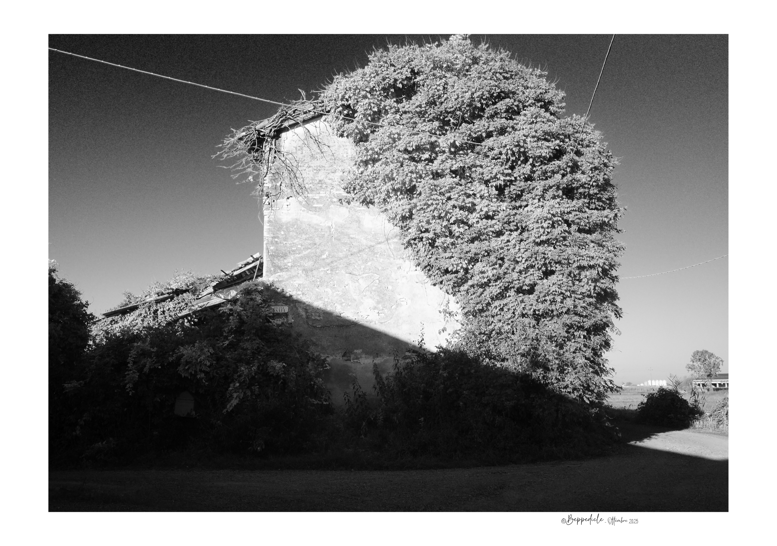 ascina lissana xx.pngxx casolare 5