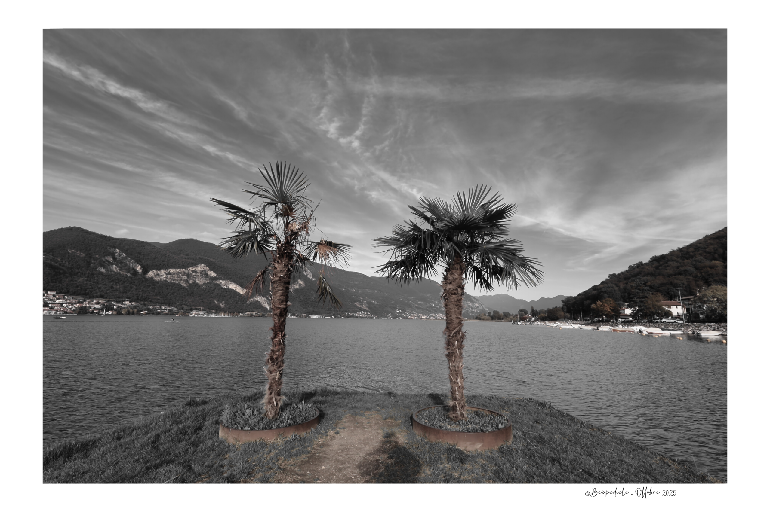palme due iseo.pngxx casolare 5